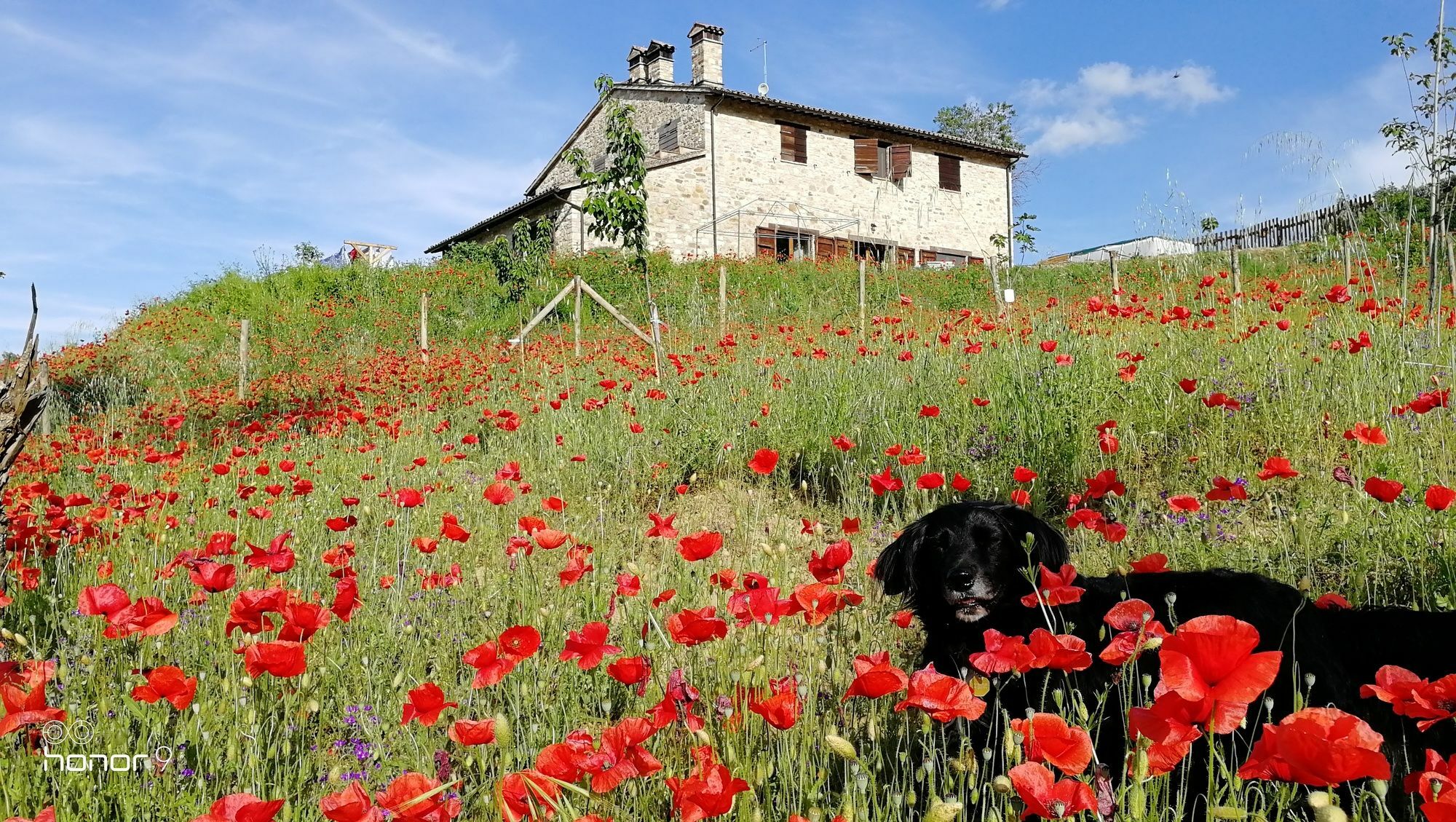 Bed and Breakfast Casale Le Orme Тоди Экстерьер фото
